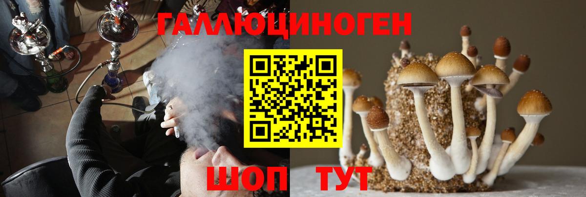 Кинель  Галлюциногенные грибы Psilocybe  Вход с VPN 